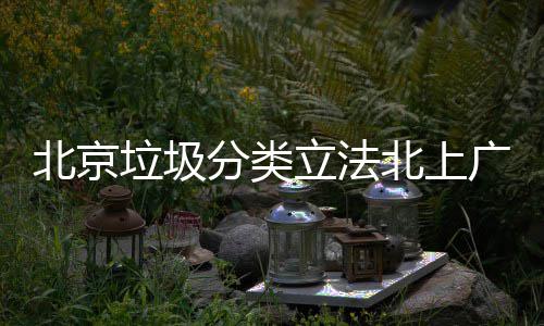 入强制分广深北京北上垃圾立法类分类将进