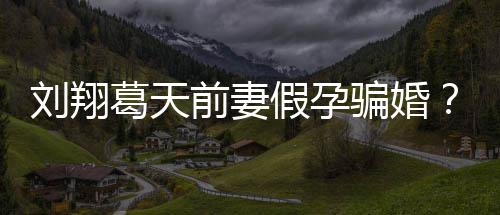 骗婚应也抵造谣者葛天不过澄清刘翔回前妻假孕