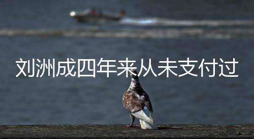 因此支付子的制执过孩被强年来行成四从未刘洲抚养费
