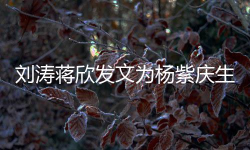 紫庆感情刘涛乐颂欢为杨发文蒋欣姐妹生 三深