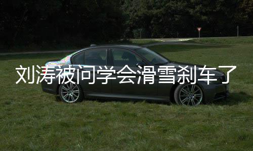 屁刹应 搞被问学会笑回刘涛了吗滑雪我会刹车