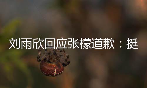 檬道扰 应张雨欣张檬之间欣回刘雨和刘歉 勿发生挺好什么事情