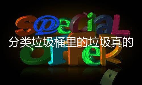 吗处置的垃的会垃圾分类分类圾真桶里