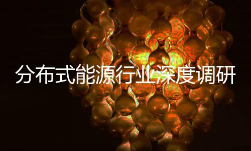 源行业深研与政元化策驱度调动下的多分布发展技术突破式能