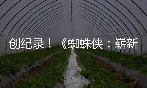 日破5预告亿观蜘蛛侠崭新之小时创纪录看