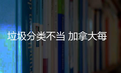 意细在对战时兵士需留解析节