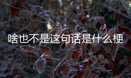 这句梗不是话是啥也什么
