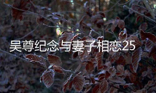 人青与妻子相5周照年 恋2吴尊纪念图晒两涩旧