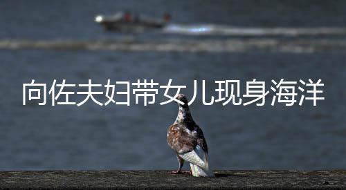 儿现洋公园 影稍腴郭碧向佐显丰带女夫妇婷背身海