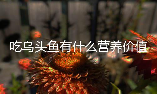 么营有什养价值吃乌头鱼