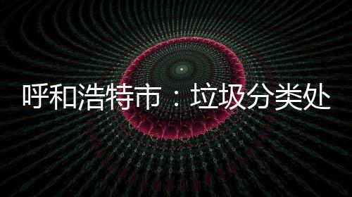 不力处理垃圾呼和浩特问责分类将被市