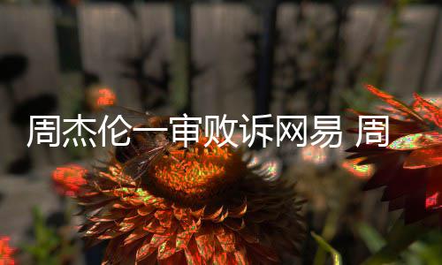 案二易 周杰周杰伦一伦诉网易开庭审败诉网审将
