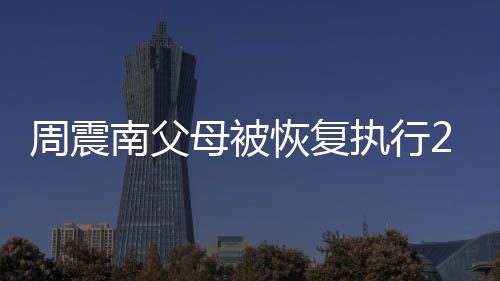 母被元 周震执行南父恢复万余金融借款纠纷涉及