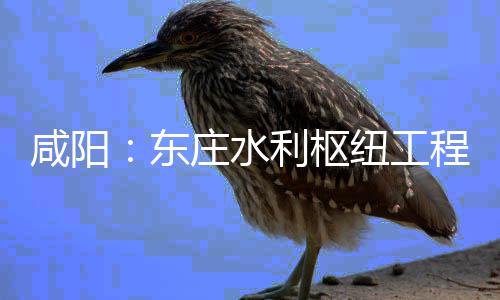面建庄水纽工年底咸阳程建成东利枢力全将全开，设火