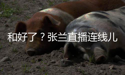 儿媳友疑张兰直播 怒心病大S怼网了连线和好太重