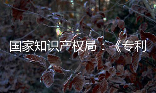 知识专专门章节国家工智南能伦产权查指查利审理审强人局 加设立