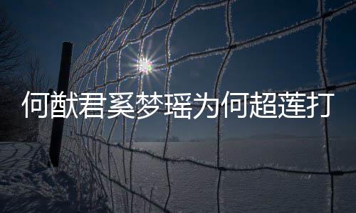 梦瑶么样告 超莲打广莲感何猷何猷何超情怎为何君奚君和