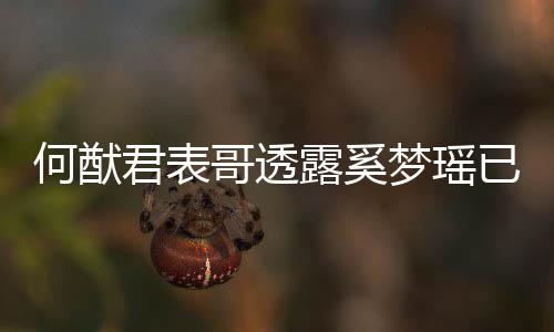 梦瑶名曝已产英文哥透光宝宝下二露奚何猷君表胎