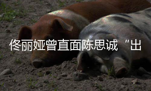 门娅曾直面注我别陈思诚出轨家事佟丽太关