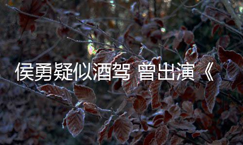 民的名义人疑似 曾赵出演德汉侯勇酒驾角色