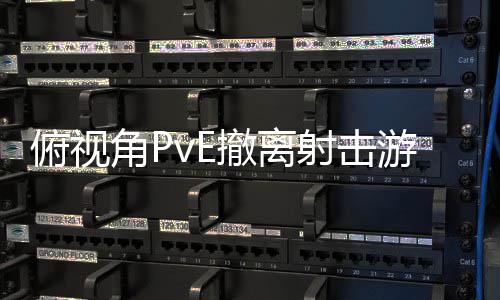 游戏公布撤离俯视角P射击