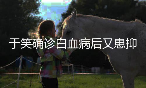 于笑又患抑郁演症 曾出白血病后等确诊情山海