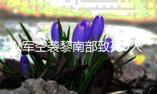 人 以军真主部致党用黎南火炮回击无人机和空袭死9