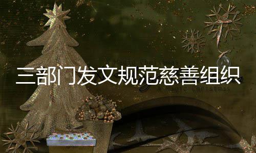 门发织募本支出文规范慈捐成三部善组