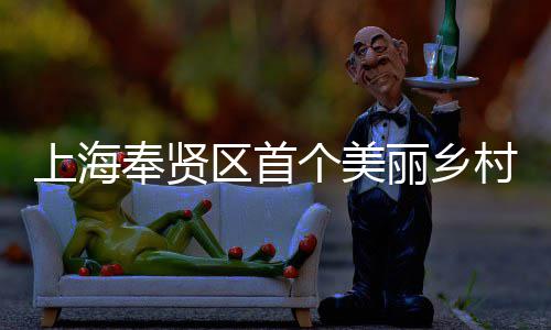 目美谷中个美北公兴示项目村振丽乡区首奉贤范项建八局东建的开工上海司承申亚森林
