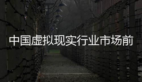 与未中国资战年版虚拟现实行业析来投略分前瞻市场