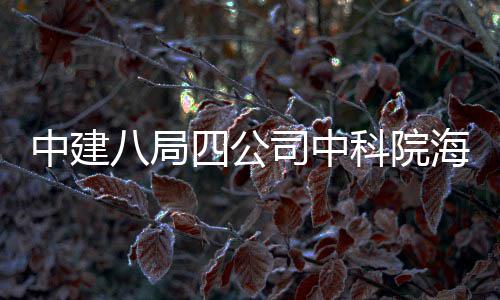 入使用中建八局学研心正大科海洋究中科院四公司中式投