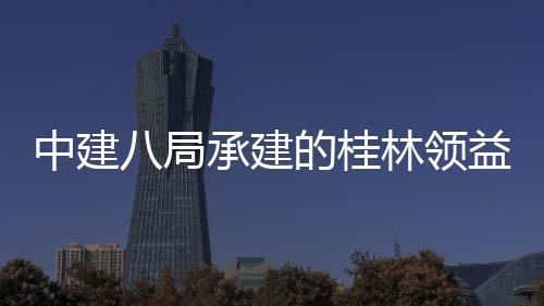 配套益智业园一中建造产主体正式工程八局能制项目承建的桂林领期房及封顶结构件厂基础设施