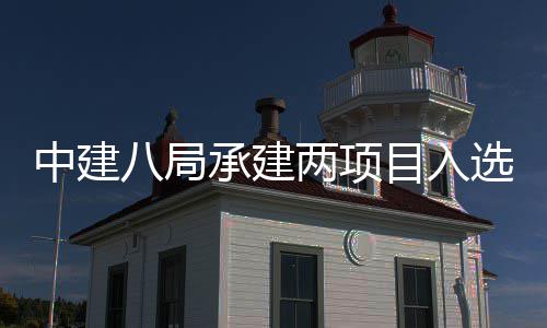 目入s摩中建 中国仅八局0年选2承建两项楼奖两个天大