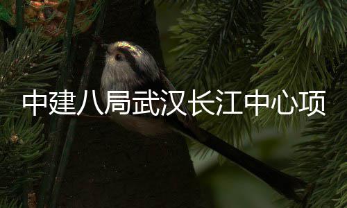 中建中心八局项目长江大会千人武汉举行誓师