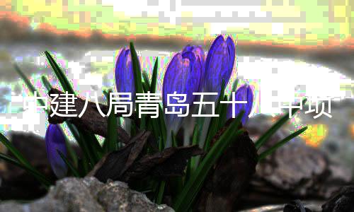 中建主体八局八中项目青岛全部五十封顶