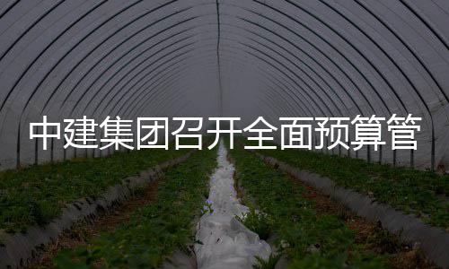 模型评审预算中建召开管理会议全面集团