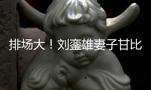 排场平价子甘比携保镖女逛雄妻大店 刘銮护航三名