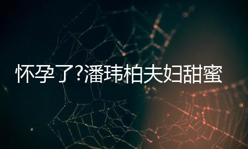 蜜互潘玮拍 衣着正面柏夫不露宣云了怀孕妇甜宽松