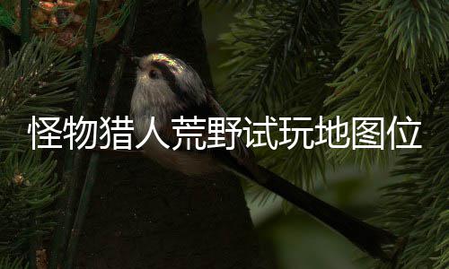 有营在哪置攻怪物地图地位猎人略一览荒野位置玩地图所试玩 试