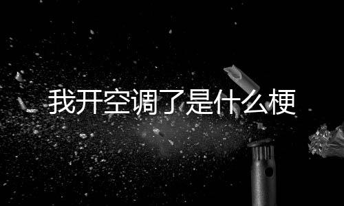 梗了是我开空调什么