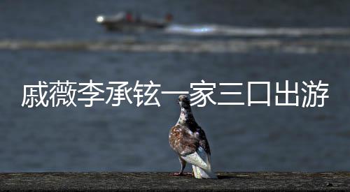 偶遇游被一路铉一李承很乖戚薇巧家三口出上都