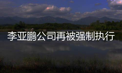 鹏公余万制执 总被强行2超4李亚万金额司再