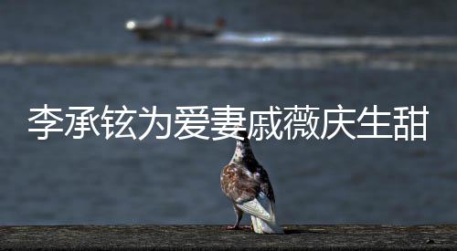 爱妻夜送铉为幸福对视李承花超戚薇庆生甜蜜 深