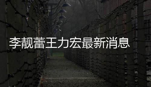 买水最新消息斥王长期李靓蕾王力宏 李力宏靓蕾军