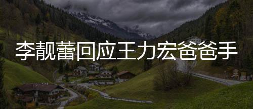 应王要求爸爸信 点前道歉李靓蕾回力宏宏下王力午3手写