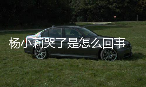 人被杨小怎么最展狗咬帮忙小莉新进莉哭了是老回事事件始末