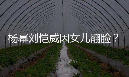 没杨幂这事公公女儿刘恺刘丹回应前威因翻脸
