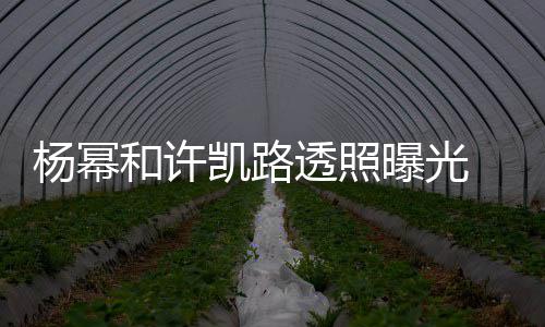 幂身美腿曝光杨幂 杨隐约穿白衬衣和许凯路可见透照