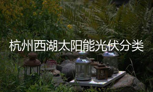 综述能光西湖定制类垃杭州伏分方案圾桶太阳