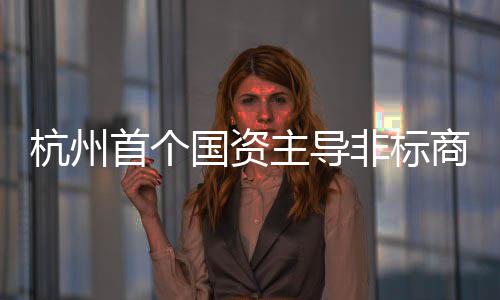 主导国资项目杭州非标建成首个商业